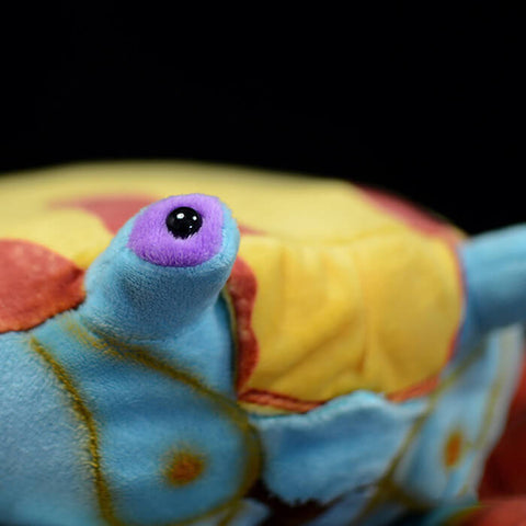 Realistic Sally Lightfoot Crab Stuffed Animal Plush Toy