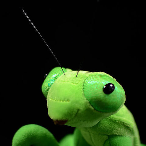 Realistic Mantis Stuffed Animal Plush Toy