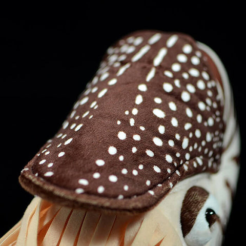 Realistic Nautilus Stuffed Animal Plush Toy