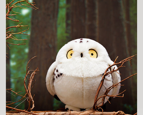 Chubby Plush Snowy Owl