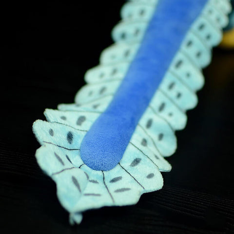 Realistic Microraptor Stuffed Animal Plush Toy