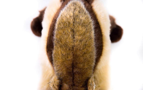 Realistic Anteater Stuffed Animal Plush Toy