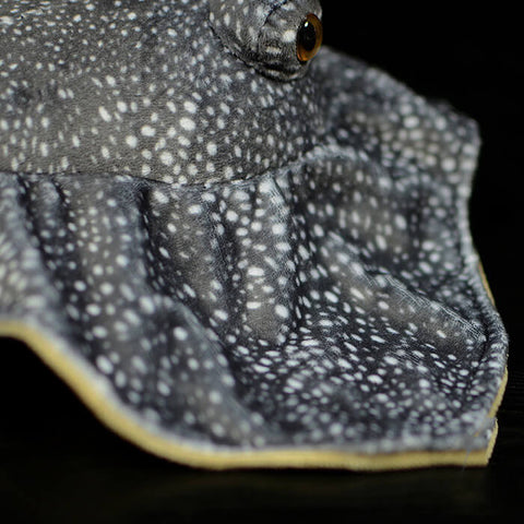 Realistic Skate Fish Stuffed Animal Plush Toy