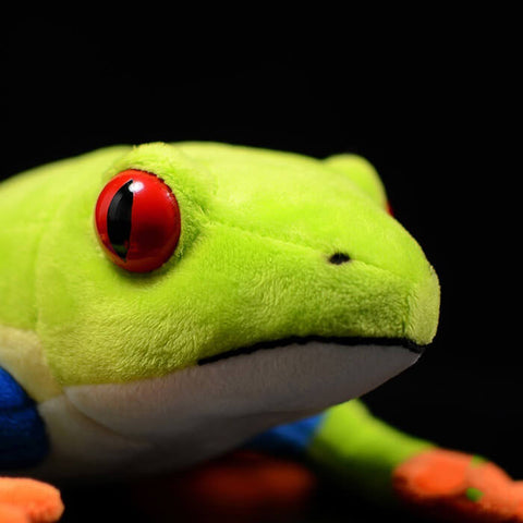 Realistic Red-eyed Tree Frog Stuffed Animal Plush Toy