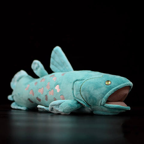 coelacanth fish