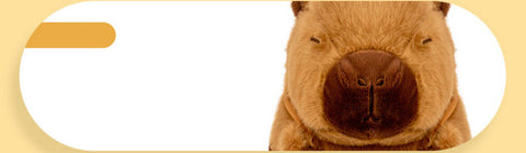 Birthday Capybara Stuffed Plush Toy, Capybara Plushies