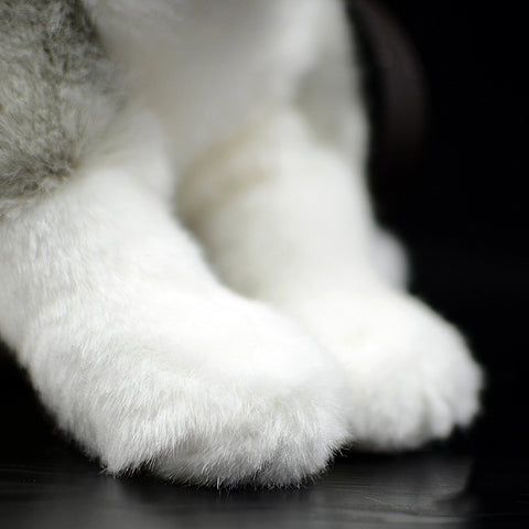 Realistic Husky Cub Dog Stuffed Animal Plush Toy