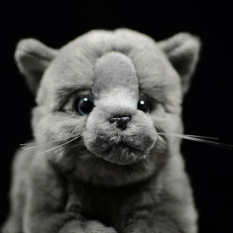 Realistic British Shorthair Cat Stuffed Animal Plush Toy