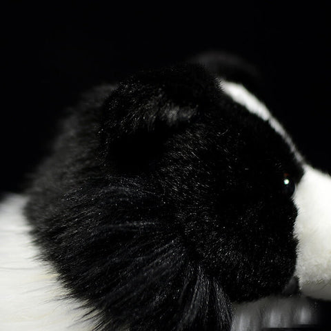 Realistic Border Collie Stuffed Animal Plush Toy