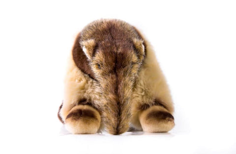 Realistic Anteater Stuffed Animal Plush Toy