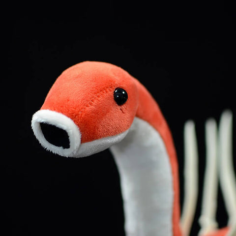 Realistic Hallucigenia Stuffed Animal Plush Toy