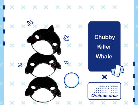 Chubby Orcinus Orca Plush Stuffed Toys Killer Whale Plushie Pillow