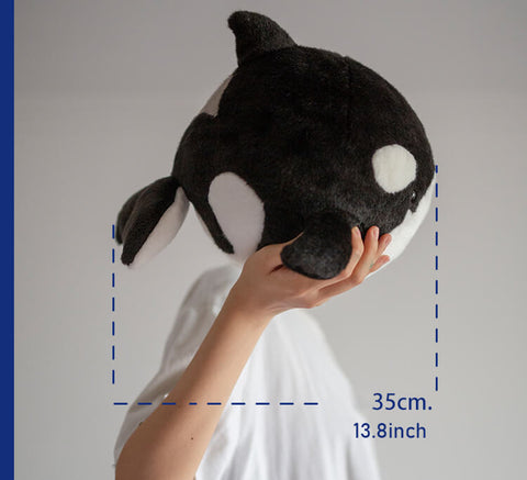 Chubby Orcinus Orca Plush Stuffed Toys Killer Whale Plushie Pillow