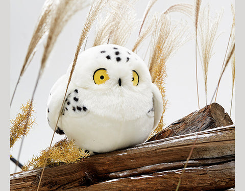 Owl Plush