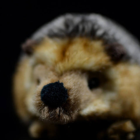 Realistic Hedgehog Stuffed Animal Plush Toy