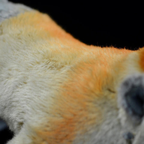 Realistic Nasalis larvatus Stuffed Animal Plush Toy