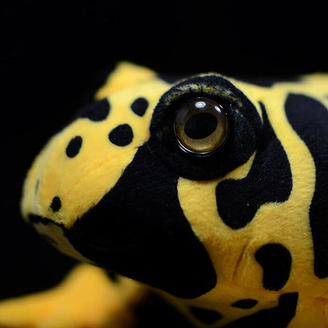 Realistic Dendrobates Leucomelas Stuffed Animal Plush Toy