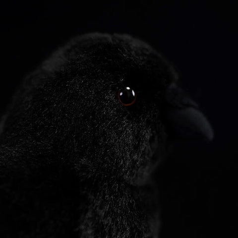 Realistic Chubby Crow Bird Stuffed Animal Plush Toy