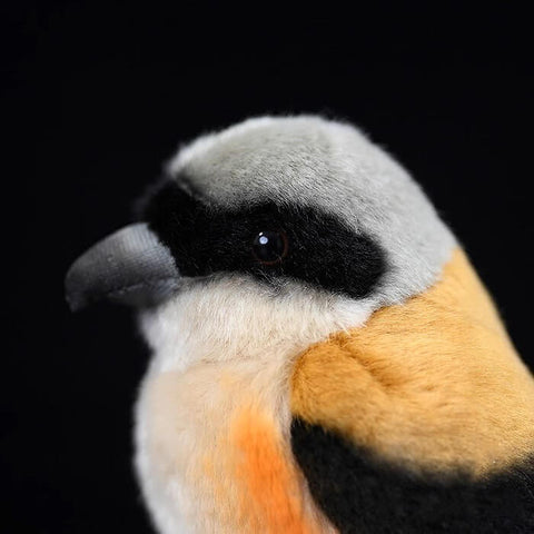 Realistic Long-tailed Shrike Bird Stuffed Animal Plush Toy