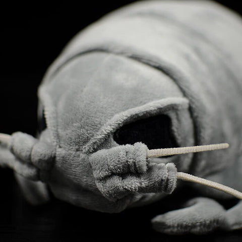 Realistic Giant isopod Stuffed Animal Plush Toy