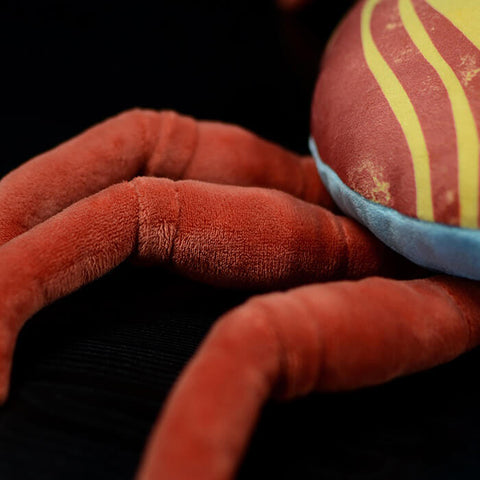 Realistic Sally Lightfoot Crab Stuffed Animal Plush Toy