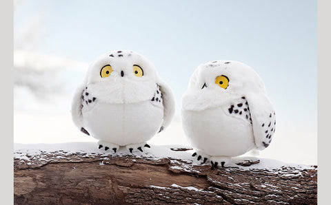 Owl Toys