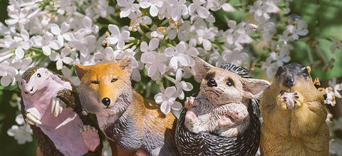 Realistic Animal PVC Figurine - Groundhog Manidae Hedgehog