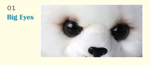 Cute Harp Seal Pup Plush