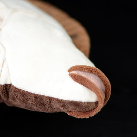 Realistic Flatfish Stuffed Animal Plush Toy