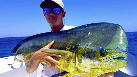 What is Mahi Mahi? Facts about Mahi Mahi