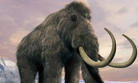 What is Mammoth? What caused the extinction of mammoths?