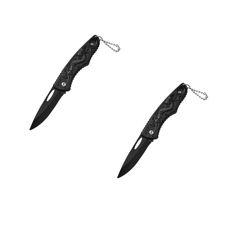 2 Pocket Folding Knives