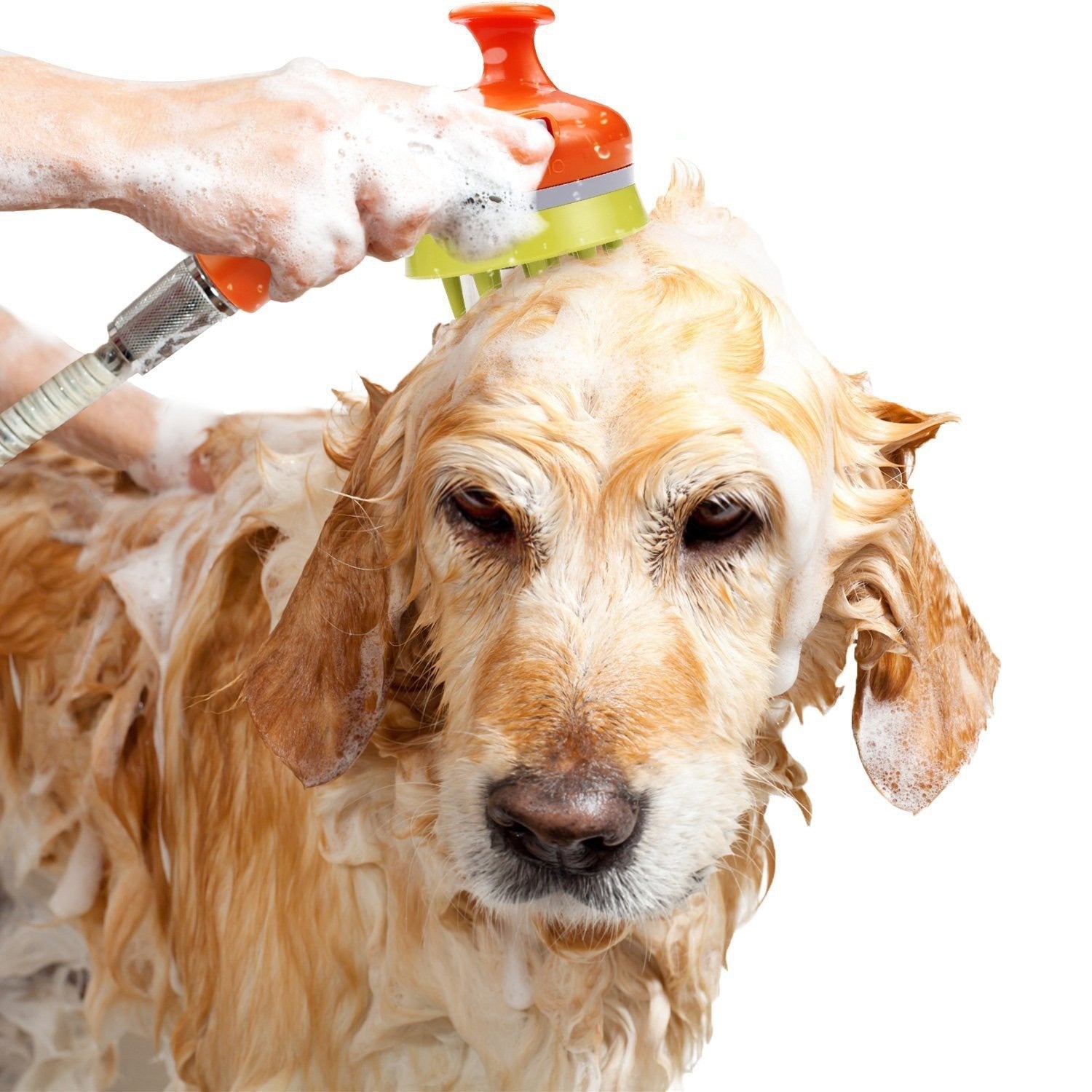 Pet Shower Brush with Comb and Sprinkler for Dogs and Cats