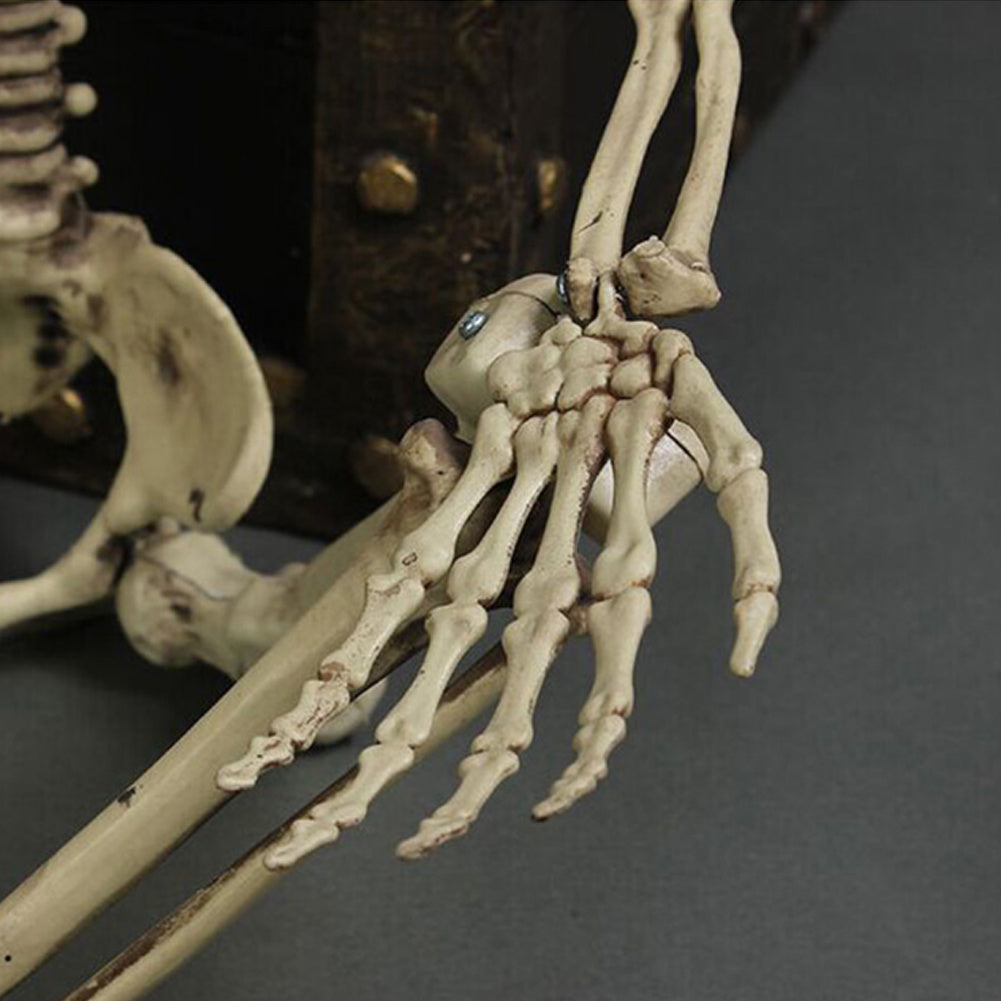 170cm Life Size Human Skeleton Bones Posable Halloween Hanging Decorations Prop