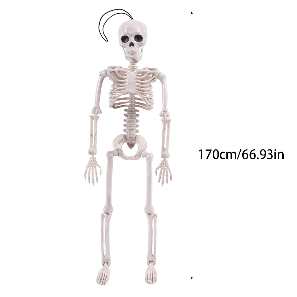 170cm Life Size Human Skeleton Bones Posable Halloween Hanging Decorations Prop