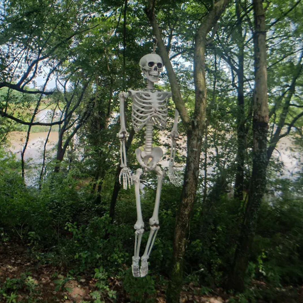 170cm Life Size Human Skeleton Bones Posable Halloween Hanging Decorations Prop
