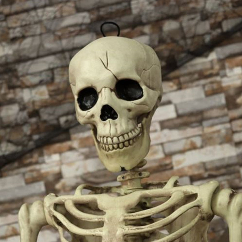 170cm Life Size Human Skeleton Bones Posable Halloween Hanging Decorations Prop