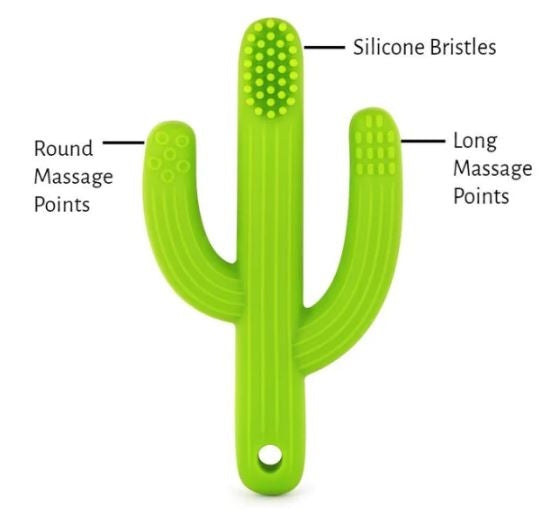 Cactus Toothbrush Teether