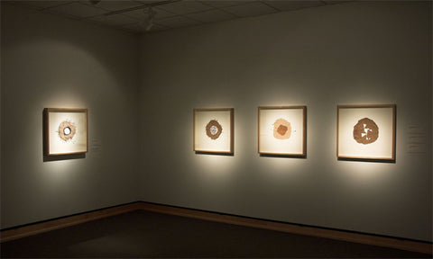 Yuji Par30 bulb