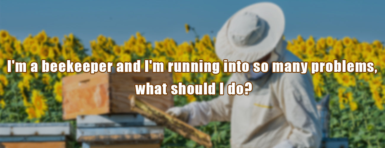 I'm a beekeeper and I'm running into so many problems, what should I do?
