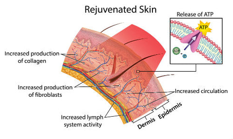 red light therapy for skin rejuvenation