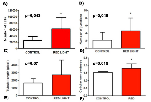 red and near-infrared light for healing process