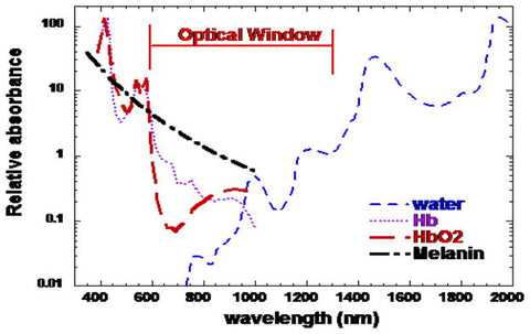 red light wavelength in 660 nm - 905 nm