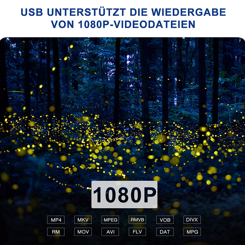 tragbarer dvd player mit usb