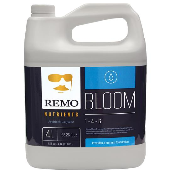 REMO - Bloom