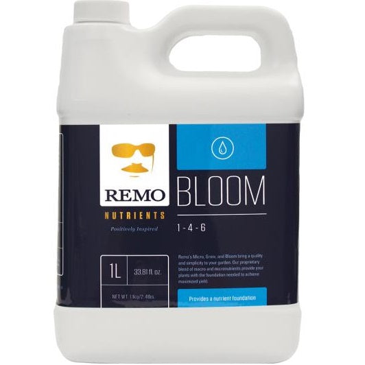 REMO - Bloom