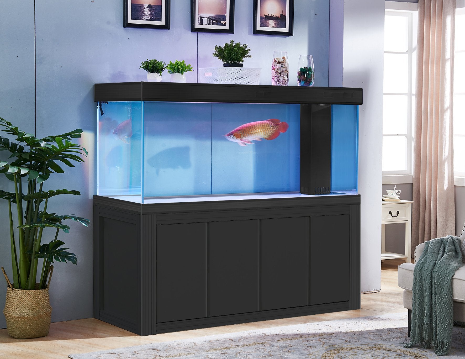 Aqua Dream 230 Gallon Tempered Glass Aquarium Black Premium