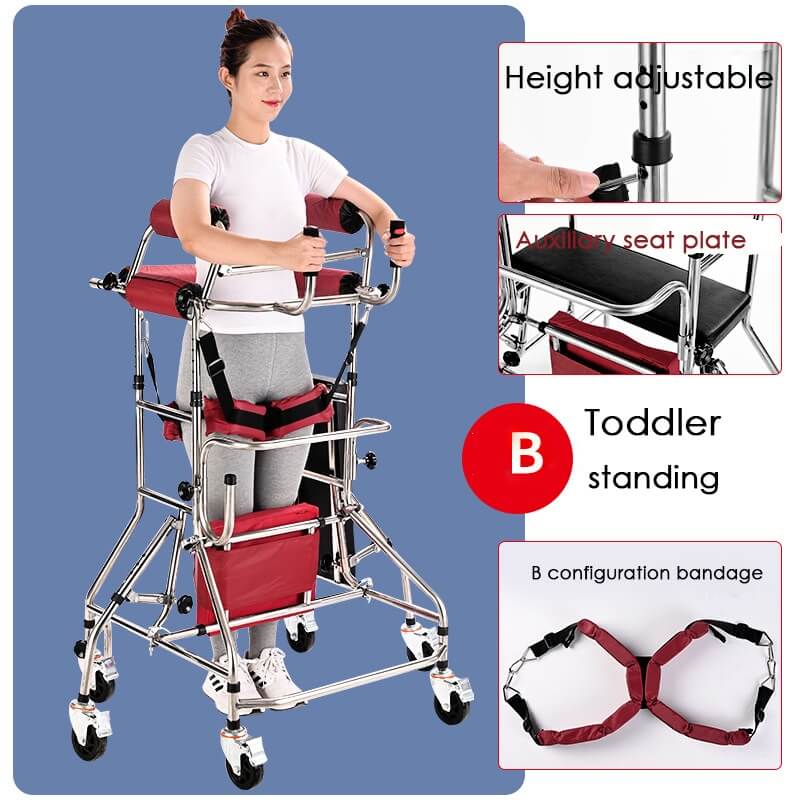 Adult Walker Elderly Rehabilitation Training