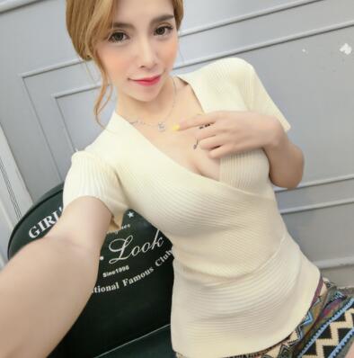 Short Sleeve Knitted Blouse