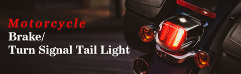 Harley Motorcycle LED Tail light assembly LOYO Design